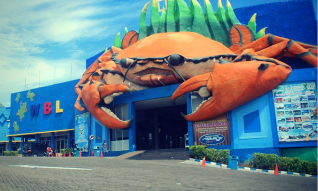 Bacaan dan Mufrodat Tentang Permainan di Wisata Bahari Lamongan WBL Bacaan dan Mufrodat Tentang Permainan di Wisata Bahari Lamongan WBL