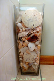 Shells collected on Marco Island | www.BakingInATornado.com | #nature #beach #shells