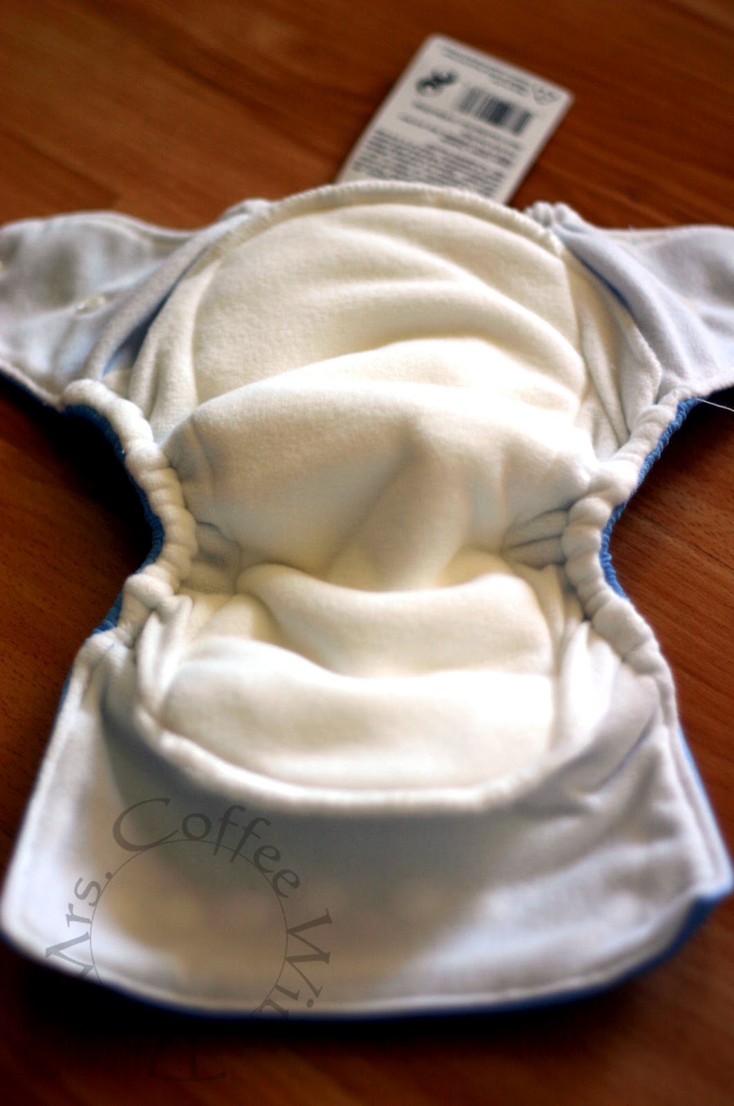 Thirsties DUO AIO Diaper With Hemp Inserts {review and giveaway} Amy