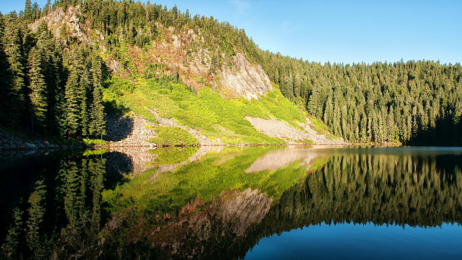 Special Desktop HD Wallpapers