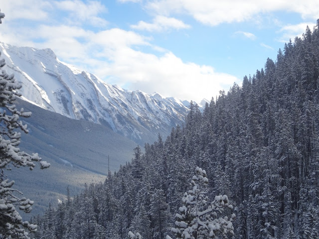 sulphur mountain trail