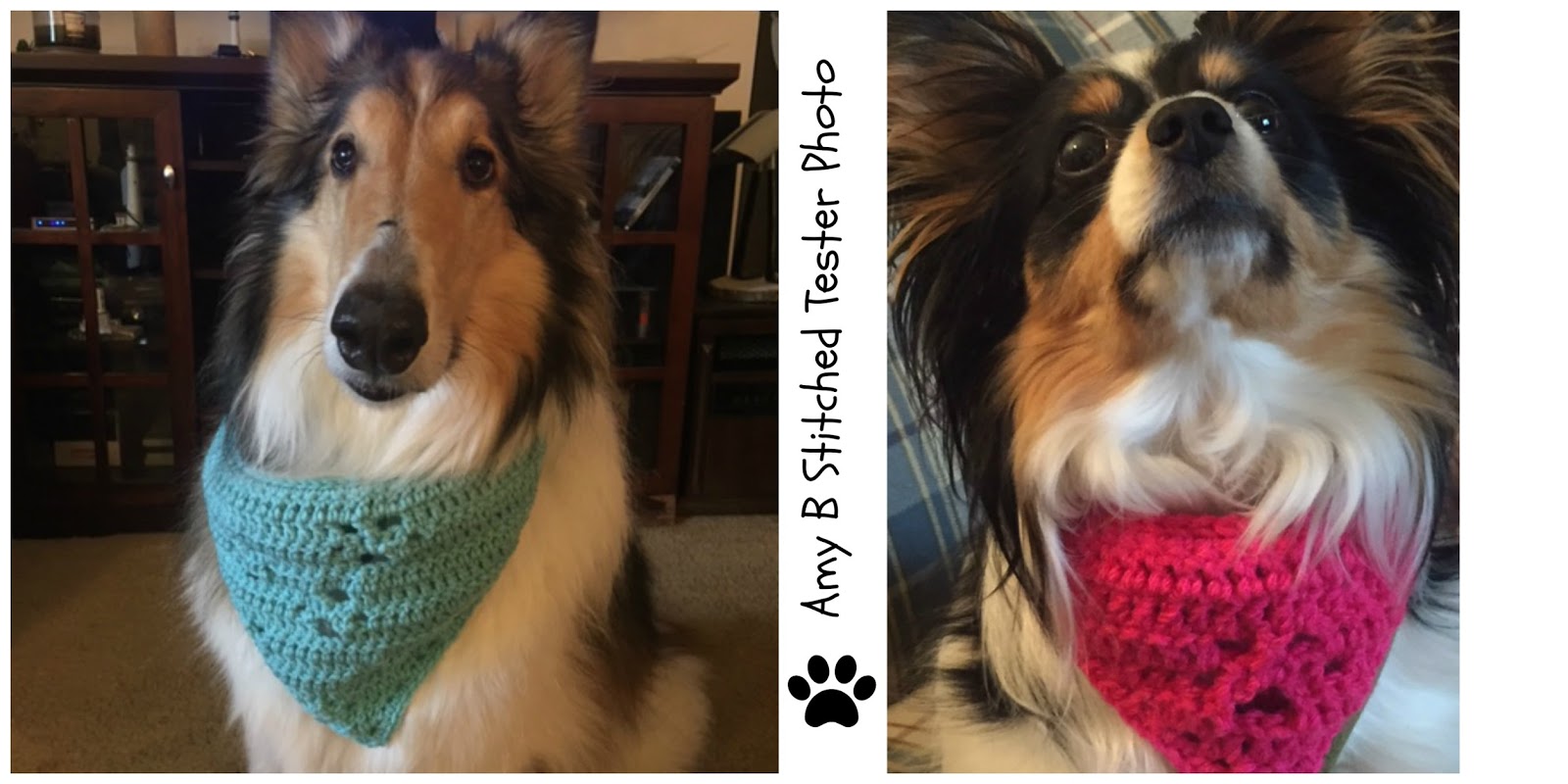 Dog Scarf Pattern Unique Inspiration Dog Scarf Pattern Unique Inspiration
