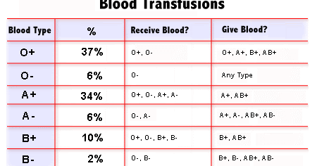 Bauerles Blog: Blood Types