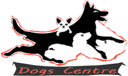 dogs centre