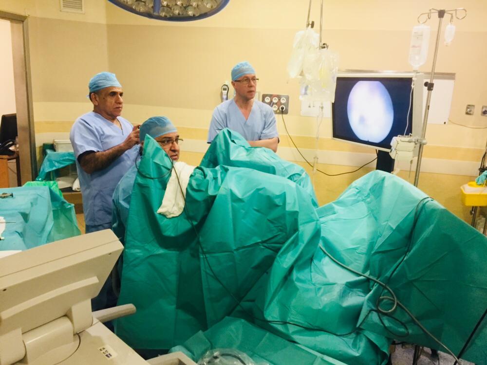 Dr. Fernando Gómez Sancha English Visitors from Jordan to learn