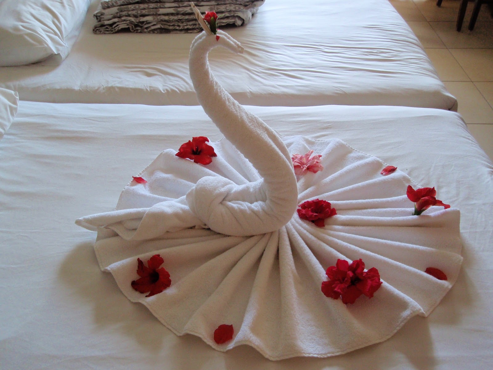 Hotel Aquamarine Hurghada Towel Art Swan (Hotel Aquamarine Hurghada