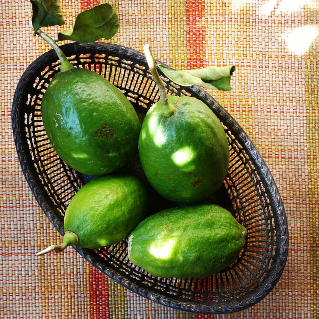 euphoRHEA: Gondhoraj Lebu and Blueberry Bundt Cake