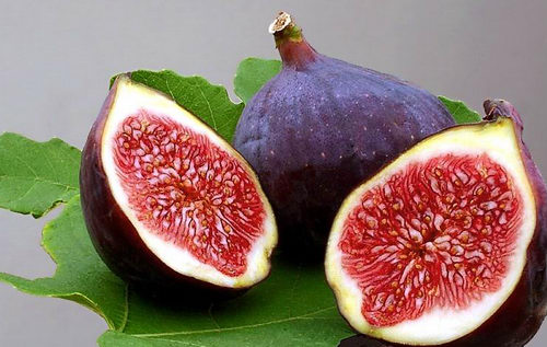 التين - صيدلية قائمة بذاتها