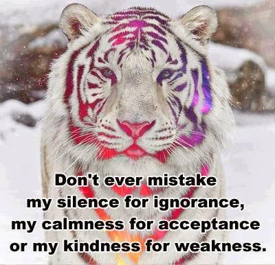Don't ever Mistake My Silence for ignorance, My calmness for acceptance
