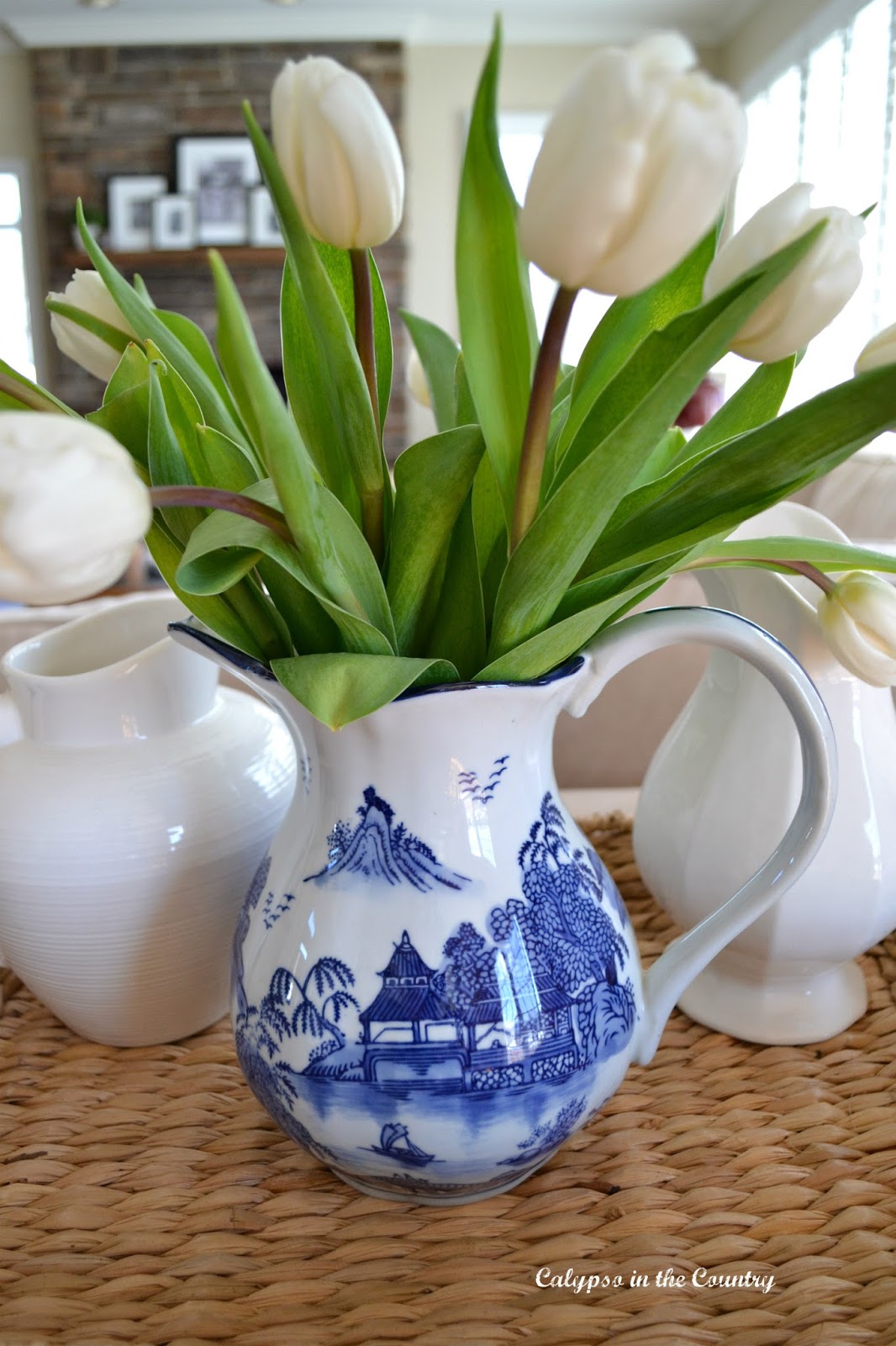 Tulips in blue and white pitcher