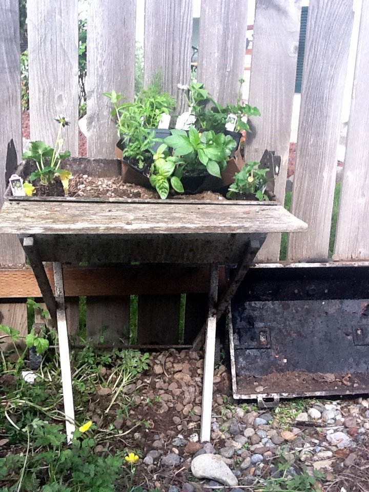 BELLA K ROSE BBQ Grill Planter