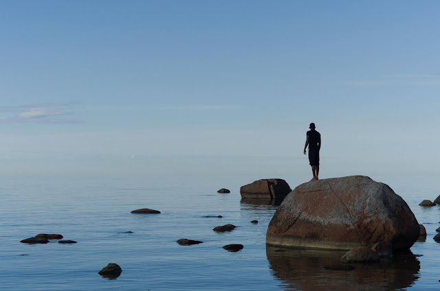 Photo by Kylli Kittus on Unsplash - Lahema Estonia