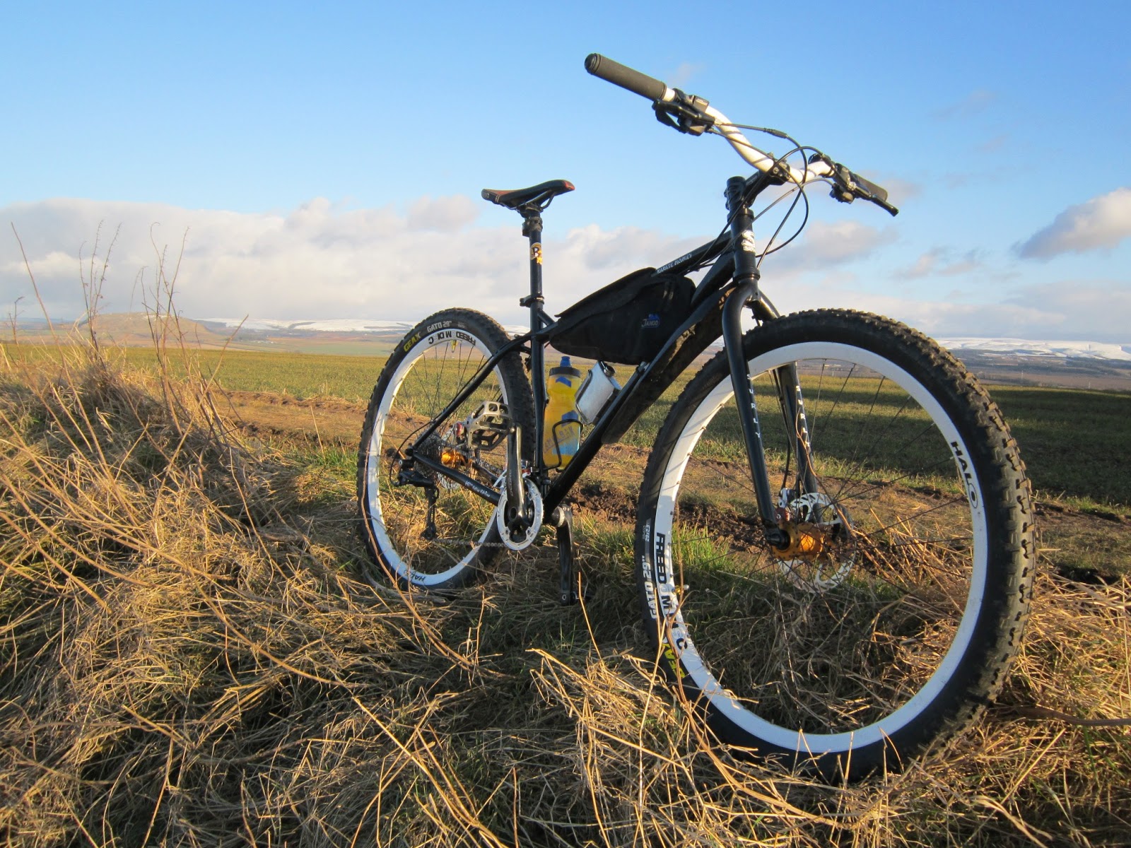 surly 29er
