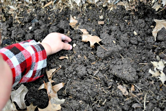 Gardening_Plot