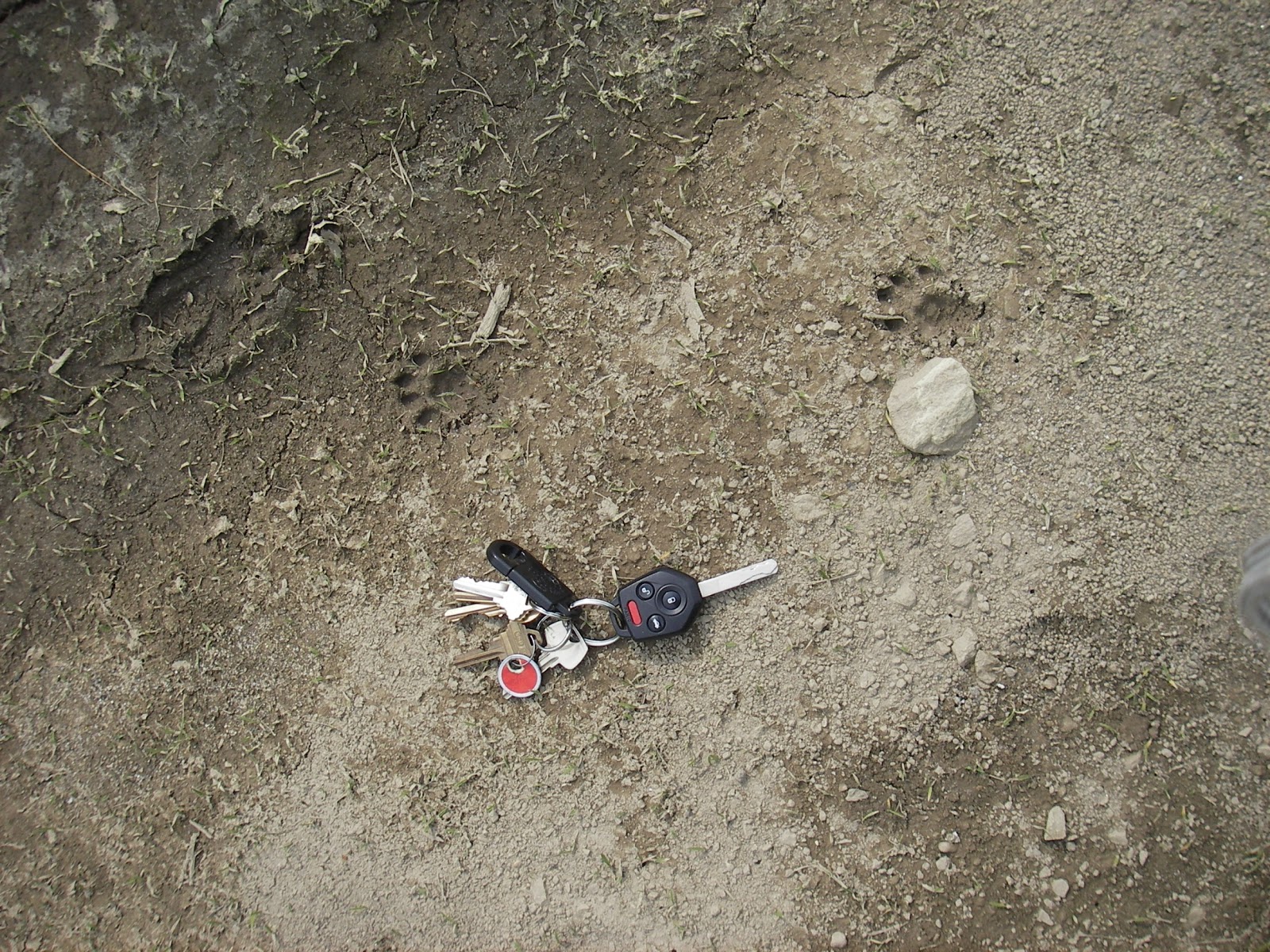 Conserve Hazelton Farm