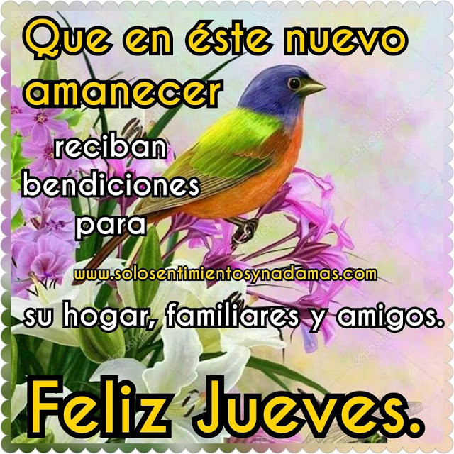 Feliz jueves.