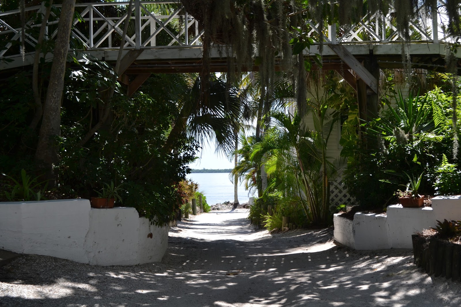 Suzanne's Travel Adventures Useppa Island