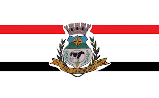 Bandeira de Frei Lagonegro MG