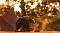 Resultado de imagen de gif juego de tronos