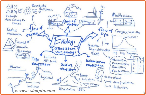 Materi Sbmptn Ipa Saintek Soal Utbk Sbmptn 2021 Dan Pembahasan Pdf