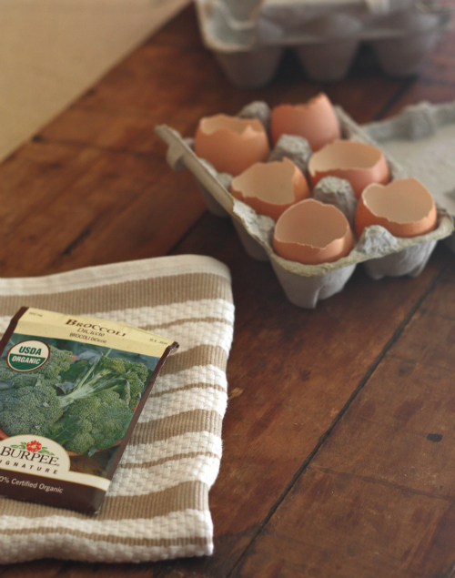 How To Plant Seeds Using Eggshells 17 Apart