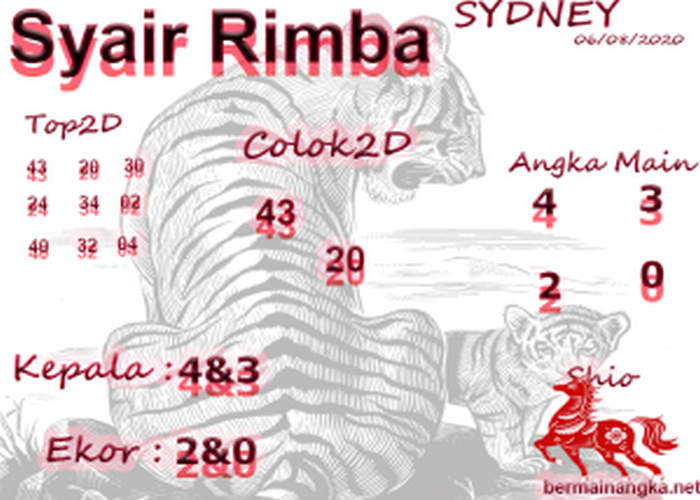 SYAIR SYDNEY ASIKTOTO