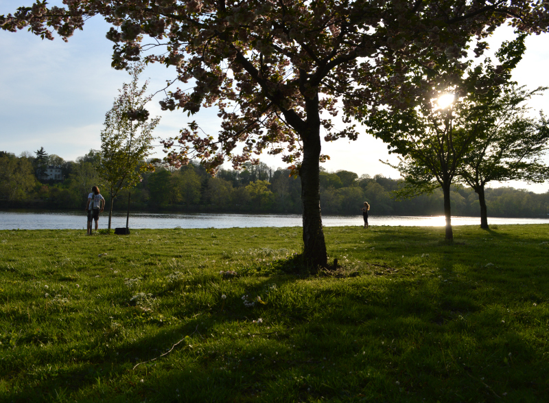 Picnicking by the Schuylkill River | Organized Mess