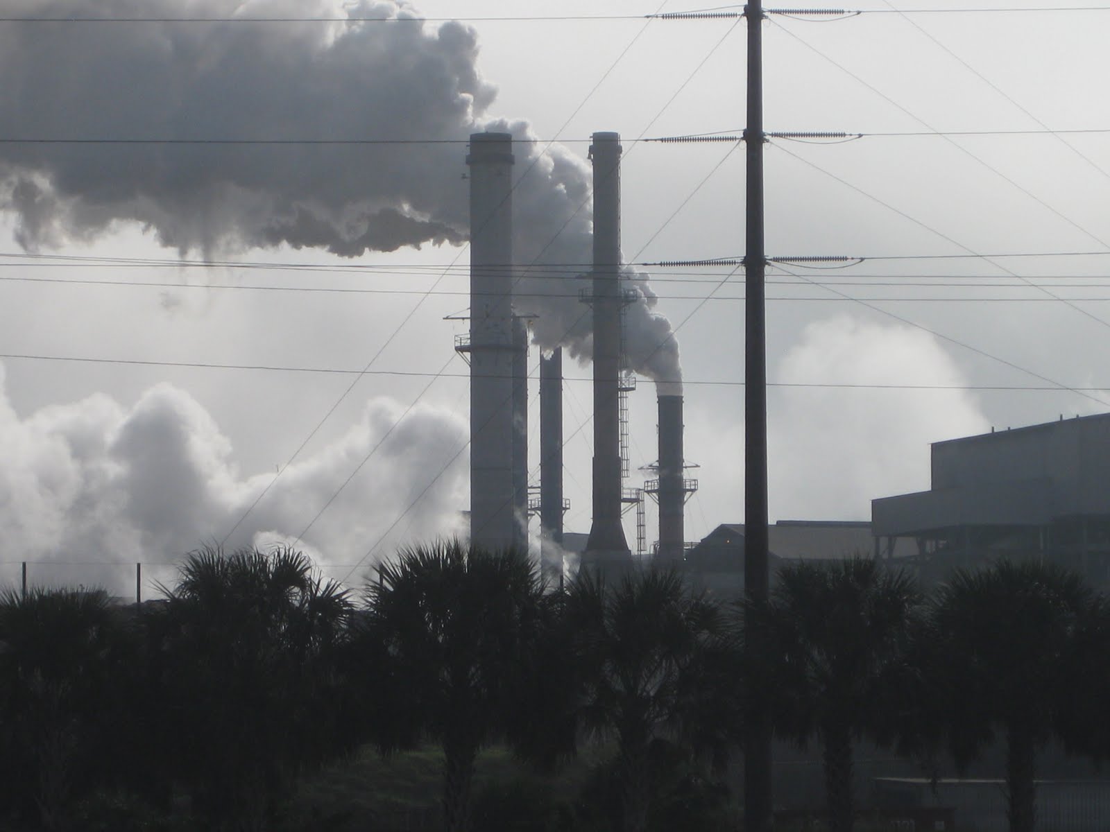 Deckers on the Road Sugar Cane Harvest in Southern Florida