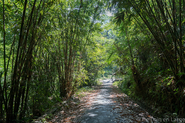 Ceking - Tegallalang - Ubud - Bali