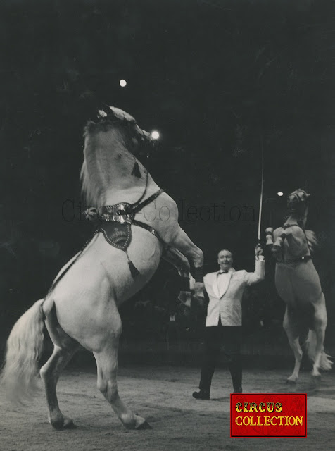 Fredy Knie senior en représentation dans la piste du cirque Knie 