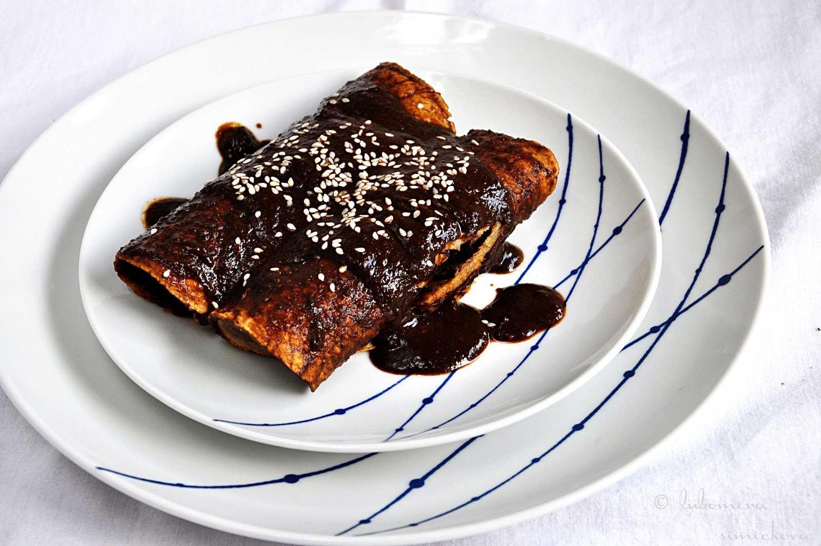 CoLoRes, SaBoRes, oLoRes...CoLoRs, TaSTeS, SmeLLS chicken enmoladas