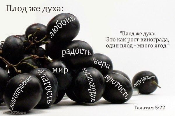 плод духа плод духа