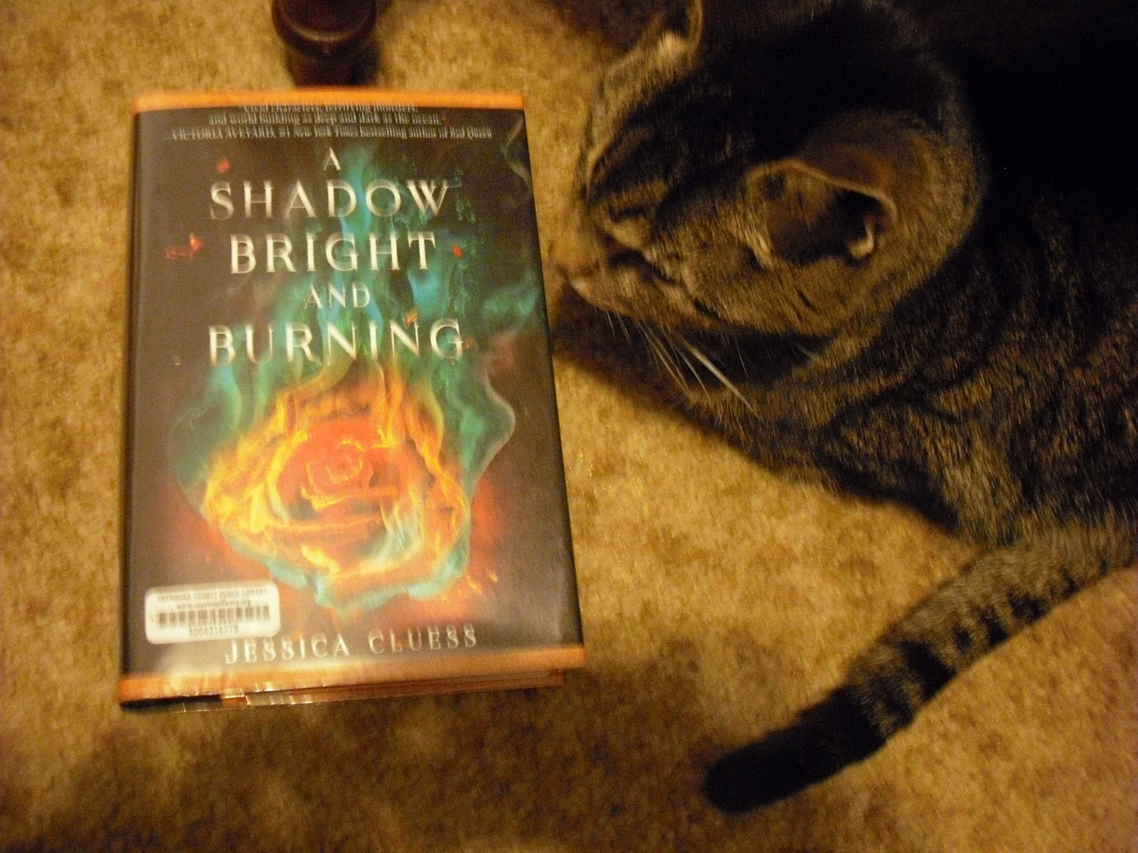 Grab A Book From Our Stack "A Shadow Bright and Burning" by Jessica Cluess