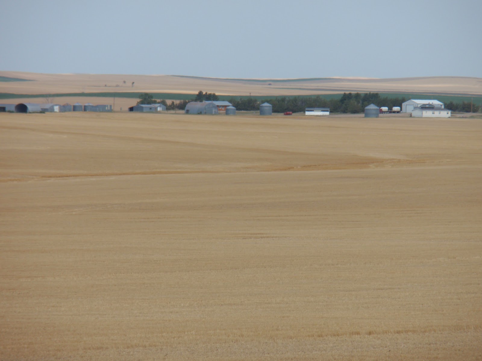 Polly and Mimi's Antiques Roadshow: Pierre, South Dakota - Day 24