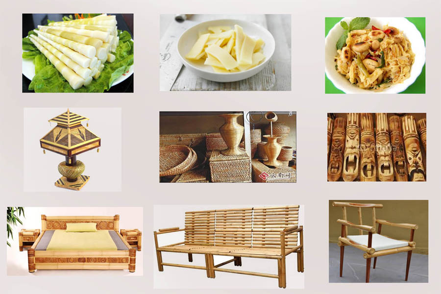 Bamboo Farming and Furniture in Nepal Om Shankar's Blog