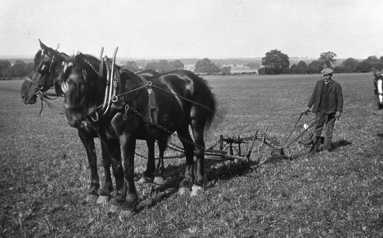 Photograph of Jack Honour ploughing September 1914