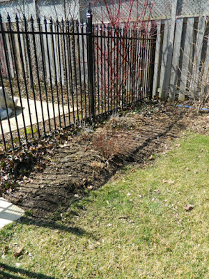 North York spring garden cleanup after by Paul Jung Gardening Services Toronto