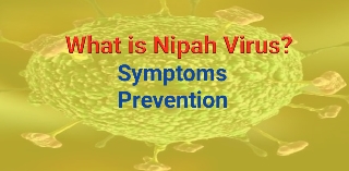 What_is_nipah_virus