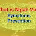 What is Nipah Virus, Symptoms and how is it transmitted? - TyroPharma