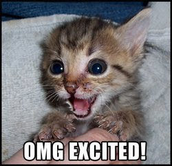 omg+excited.jpg