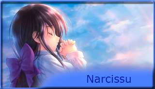 Narcissu