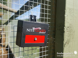 chicken coop run fencing predator choosing right guard garden solar