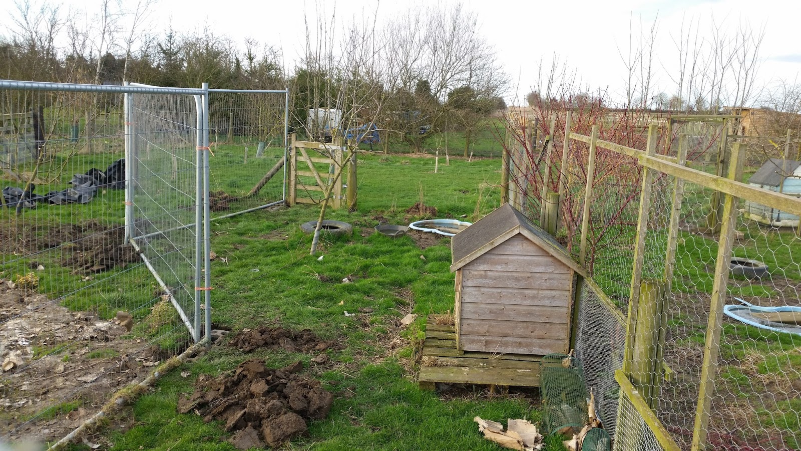 Tales from Swallow Farm Blow The Raspberries!