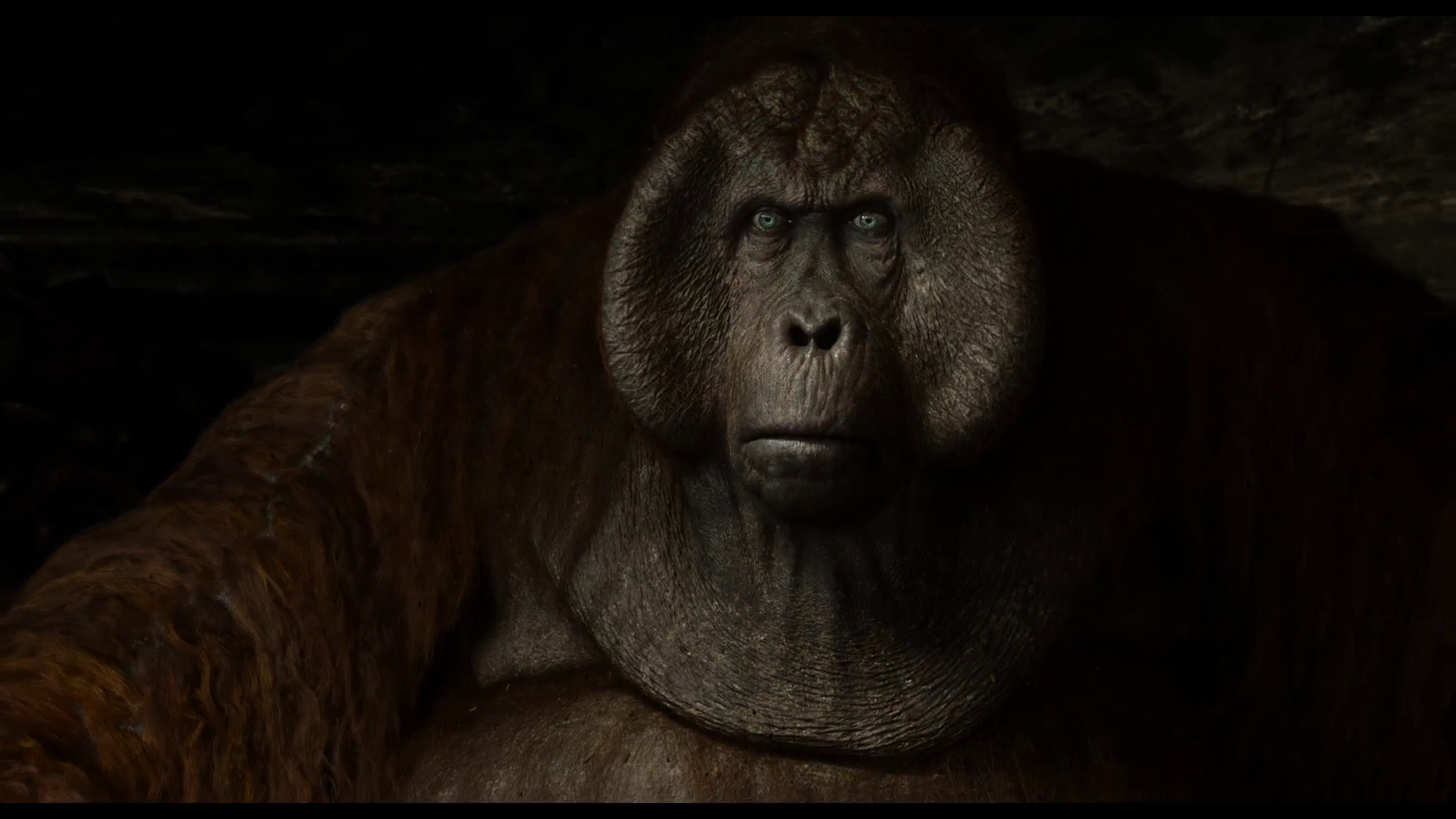 книга джунглей нил сетхи. книга джунглей 2016 1080. книга джунглей фильм 2016 маугли. книга джунглей фильм 2016. шерхан маугли 2016.