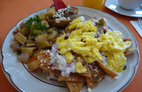 científico Escandaloso Extra Desayunar en Puerto Vallarta