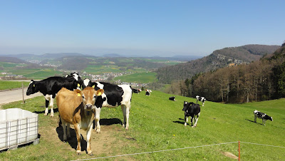 Blick beim Ränggen Richtung Diegten, Tenniken und Sissach Blick beim Ränggen Richtung Diegten, Tenniken und Sissach
