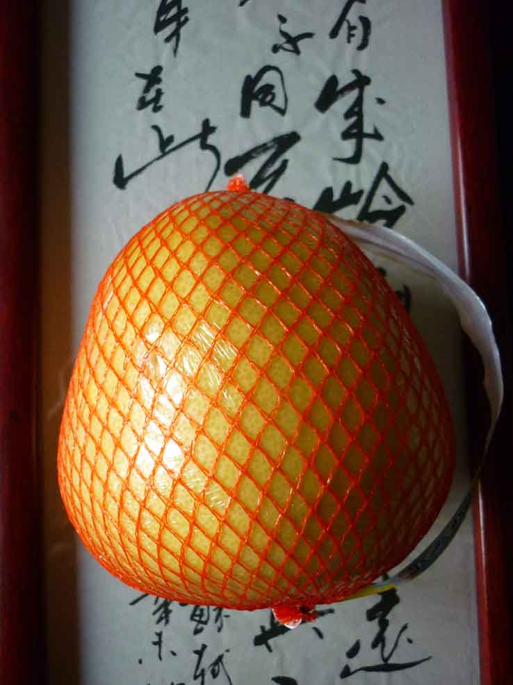 Découvrir & Déguster Délice du mois le pomelo chinois