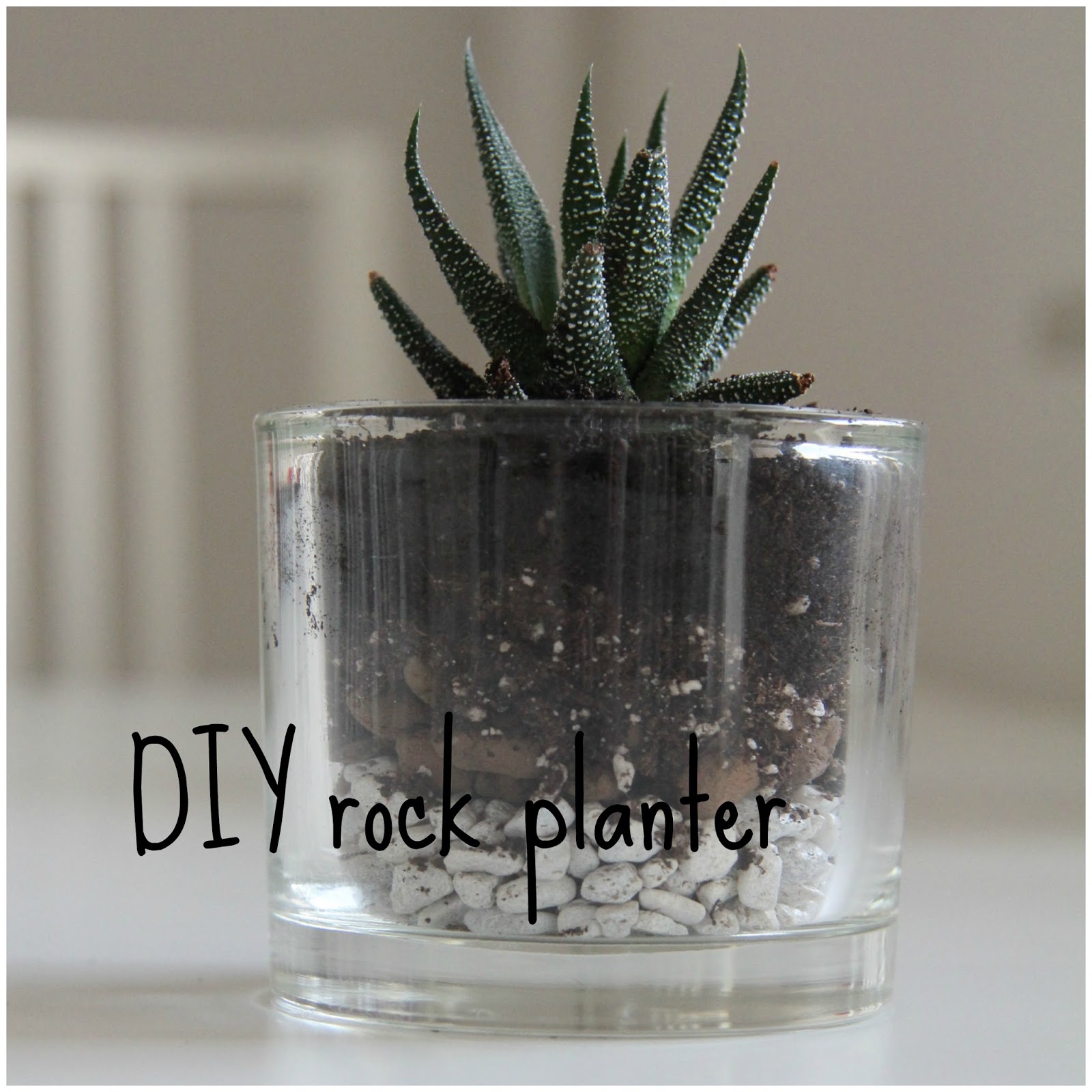 DIY rock planter Valery's daily inspiration