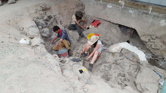 New data for old bones: How the famous Cleveland-Lloyd dinosaur bone bed came to be New data for old bones: How the famous Cleveland-Lloyd dinosaur bone bed came to be