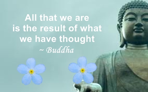 67 Not Out: Buddha Quote